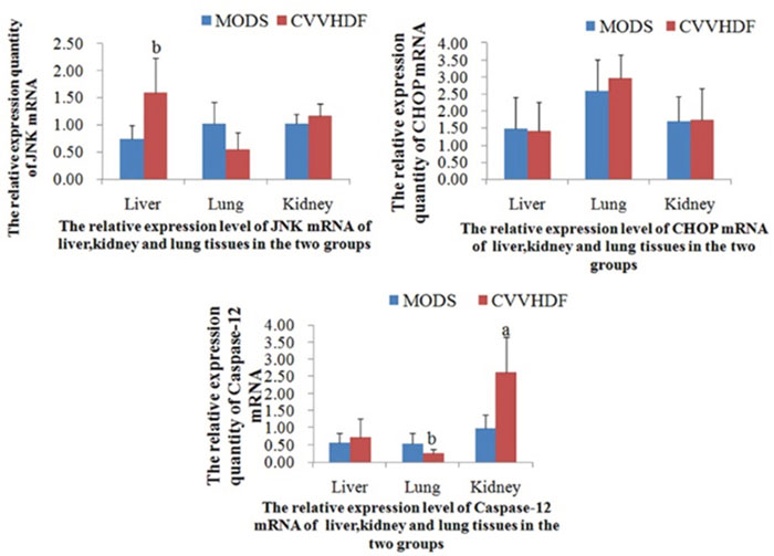 The mRNA relative expression of JNK, CHOP and Caspase-12 in Liver, Lung and Kidney tissues before interfered by siRNA.