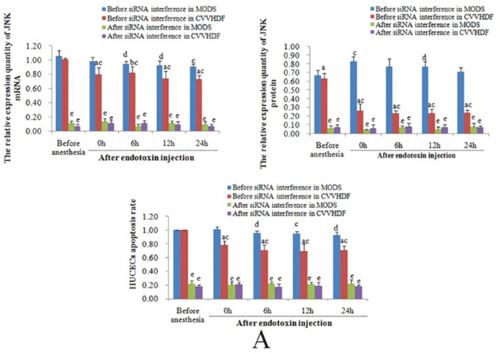 The levels of mRNA, protein and endothelial cell apoptosis among JNK, CHOP and Caspase-12 were compared between MODS group and CVVHDF group before and after interference.