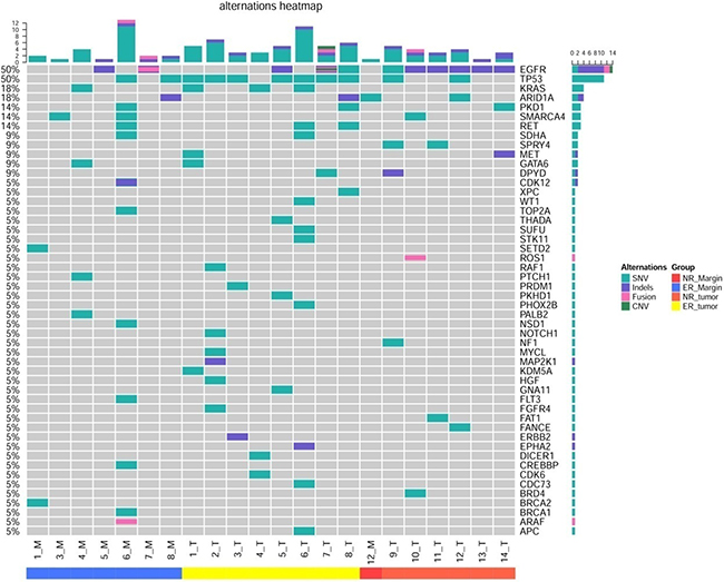 Heat map for genes X axis represents the tissue type and number of patient.