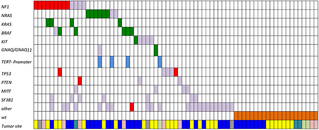 Mutation distribution in mucosal melanomas.