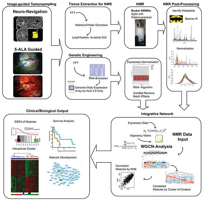 The figure reveals the workflow and data processing of the &#x201C;in-house&#x201D; pipeline.