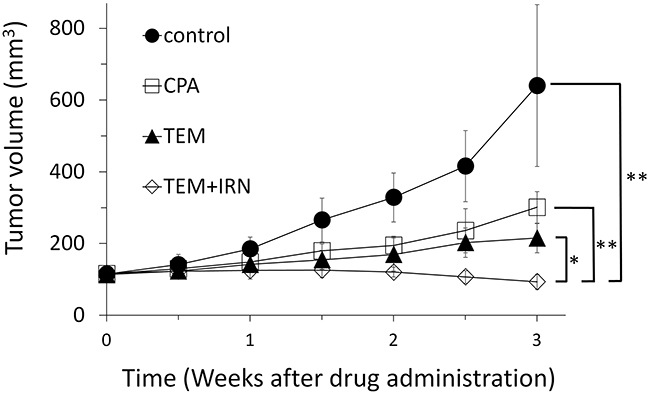 Efficacy of cyclophosphamide (CPA), temozolomide (TEM) and TEM combined with irinotecan (IRN).