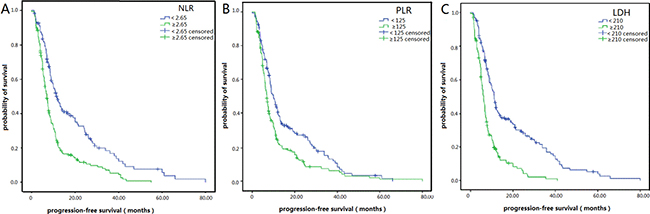 Kaplan&#x2013;Meier survival curves for progression-free survival (PFS) in SCLC patients after diagnoses.