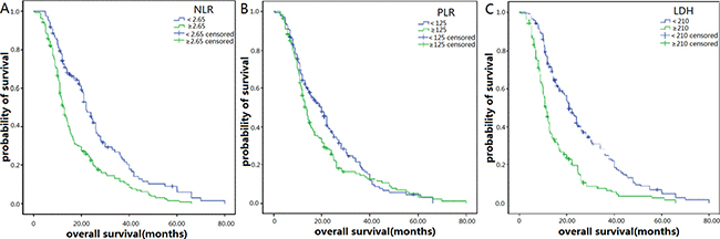Kaplan&#x2013;Meier survival curves for overall survival (OS) in patients with SCLC after diagnoses.