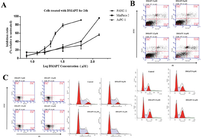 Effects of DMAPT on the viability of pancreatic tumor cells.