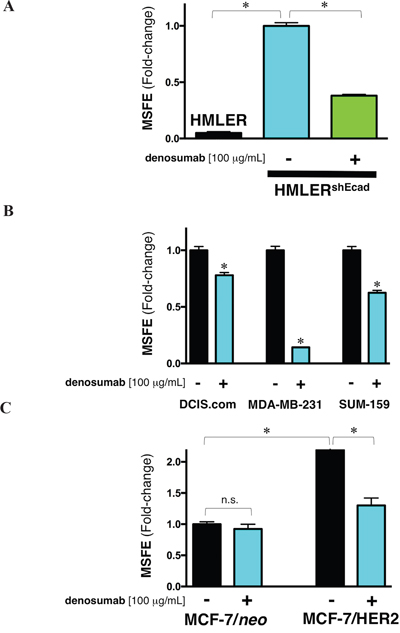 Figure Box 1: (A) Denosumab reduces the EMT-driven tumorsphere formation ability of RAS-transformed human breast epithelial cells.