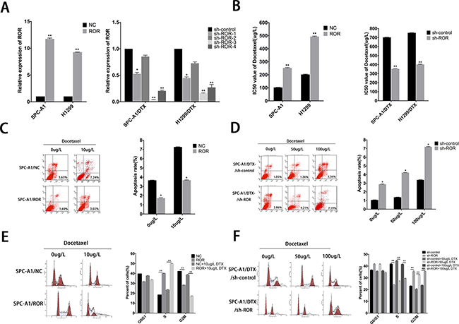 Roles of linc-ROR in chemosensitivity of parental or docetaxel-resistant LAD cells.