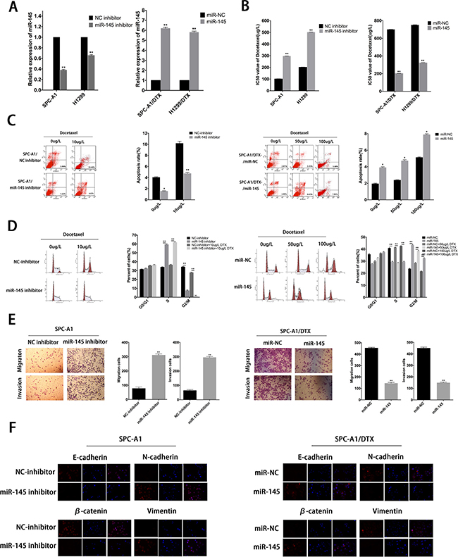 MiR-145 mediates drug resistance and EMT phenotype of LAD cells in vitro.