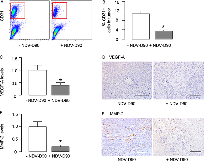 NDV-D90 impairs gastric cancer vascularization.