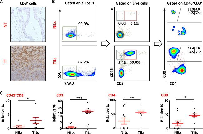 T-cell infiltration in normal and tumor tissues in primary breast cancer.