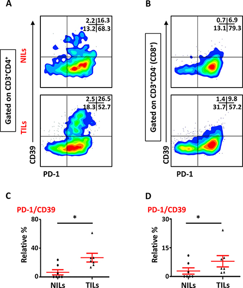 Expression of PD-1/CD39 in CD4+ and CD8+ T cells in NILs and TILs.