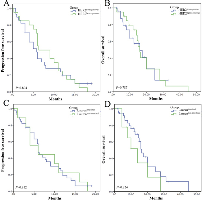 Survival analyses of HER2 heterogeneity and Lauren classification.