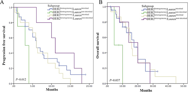 Survival analyses in subgroups by combining HER2 heterogeneity and Lauren classification.