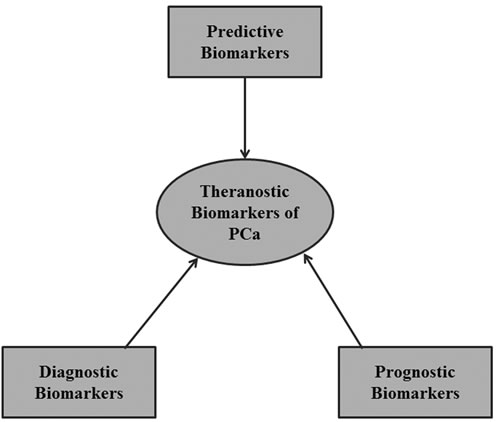 A theranostic approach to biomarker development.