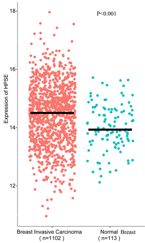 HPSE was highly expressed in breast invasive carcinoma compared to the normal breast tissue.