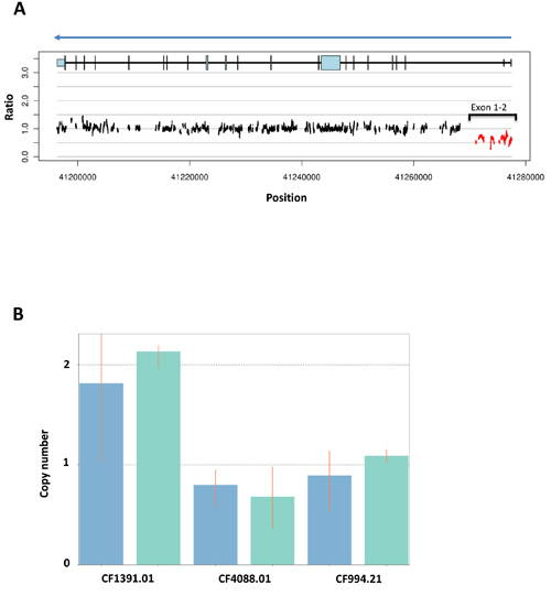 BROCA-HR deep sequencing result of the exceptional responder (A) and validation with qPCR for deletion of