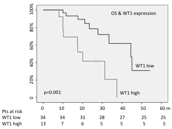 WT1 high levels predicted shorter OS.