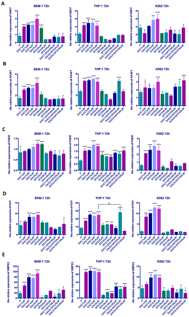 The relative expression of five genes in three leukemia cell lines following treatment at different concentrations of both drugs either alone or in combination.