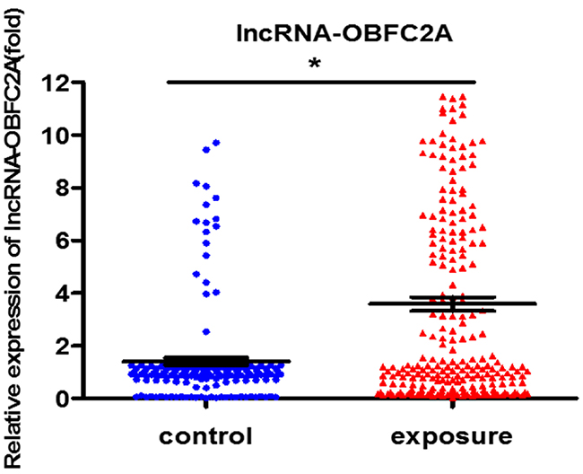 LncRNA-OBFC2A expression increased in benzene-exposed workers.