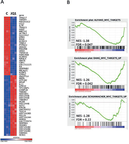 Inhibition of MYC-Dependent Transcription by the Bromodomain Inhibitor JQ1 in medulloblastoma.