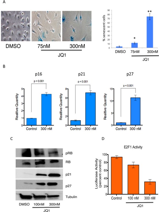 Induction of senescence in medulloblastoma cells by JQ1.