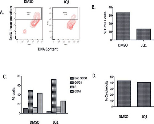 Analysis of BrdU incorporation, cell viability and LDH activity in a primary medulloblastoma patient tumor slice culture with JQ1 (300 nM) treatment or DMSO vehicle control.
