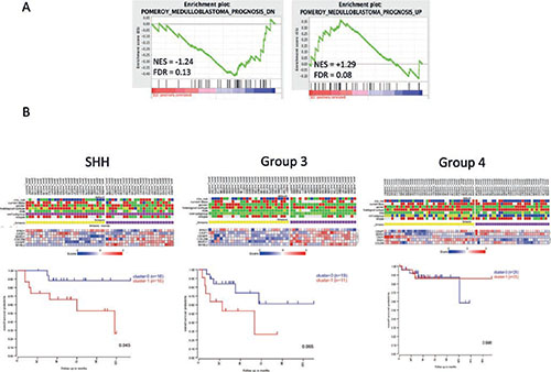Clinical implication of JQ1 suppressed transcriptional programs in medulloblastoma patients.