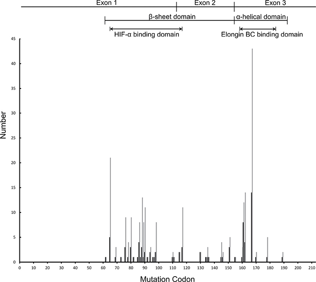 The distribution of germline mutations by codon in Chinese VHL families and patients.