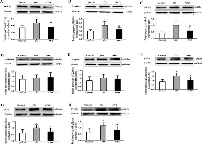 Figure 4: