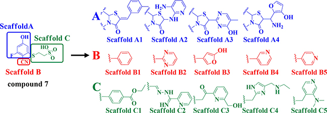 Illustration to show how to generate the 100 derivative compounds from compound 7.