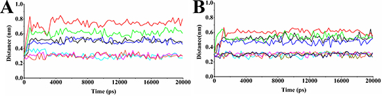 Distance graphs of some important hydrogen bonding interactions.