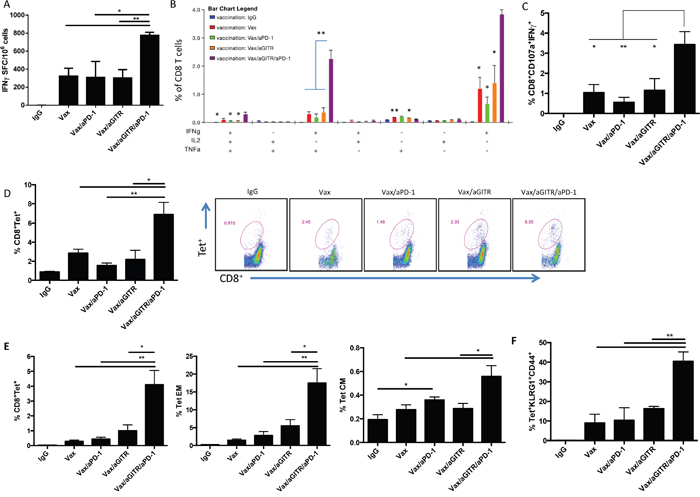 Combination aGITR/aPD-1 therapy with vaccination boosts the expansion, function and differentiation of Ag-specific CD8+ T cells.