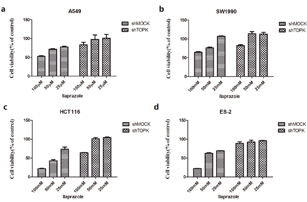 The inhibition of TOPK by ilaprazole is dependent on the abundance of TOPK.