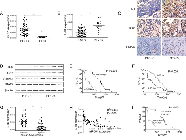 Prognostic role of miR-204 in ovarian cancer patients.