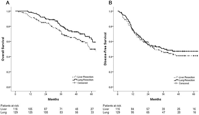 Overall survival and disease-free survival after pulmonary (n&#x003D;129) and hepatic (n&#x003D;116) metastasectomies are similar.