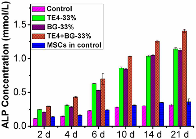 ALP activity in rOMSCs and rMSCs in the different material groups at the 33% ratio.
