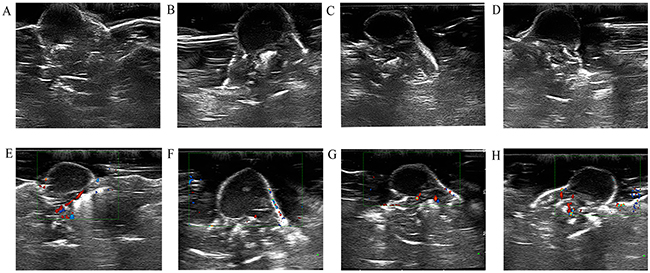 Figure 2: