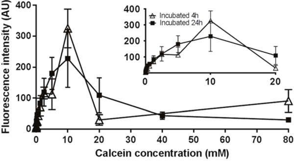 Fluorescence intensity after liposomes containing a series level of calcein were incubated with U87 cells for 4 h or 24 h.