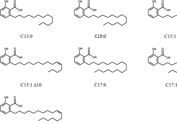 Chemical structures of ginkgolic acids.