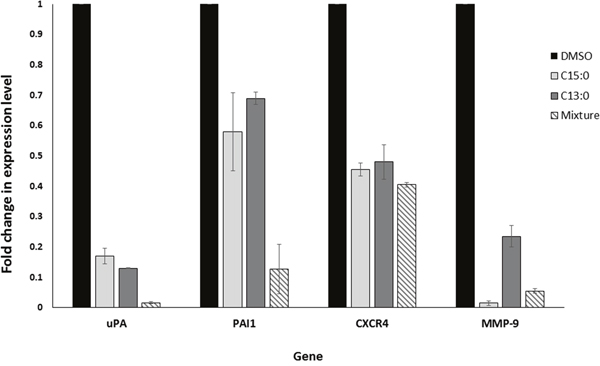 Ginkgolic acids downregulate the expression of the uPA, PAI-1, CXCR4 and MMP-9 genes.