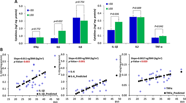 Inflammatory status in the mammary tissue of women with different BMIs.