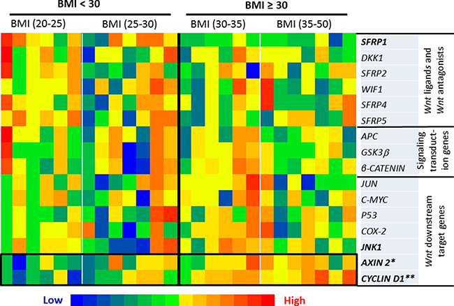 Heatmap of the transcriptional expression of Wnt pathway-specific genes.