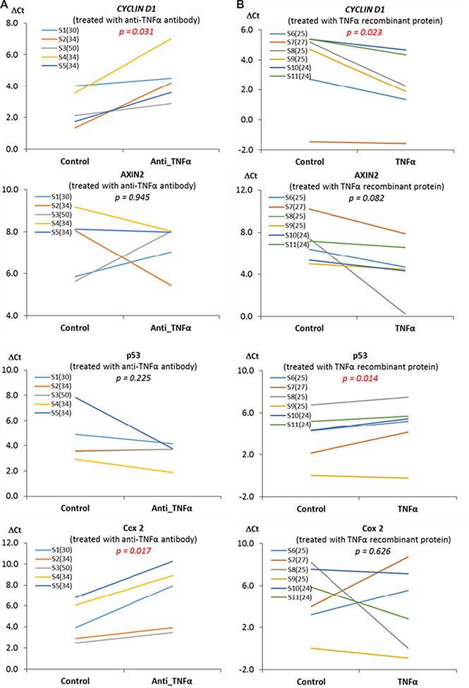 The activation of Wnt-signaling pathway by TNF-&#x03B1;.