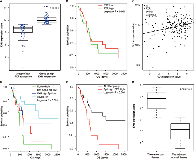 Correlated high expression of Sp1 and FXR in mRNA levels confers the poorest prognosis for pancreatic cancer.