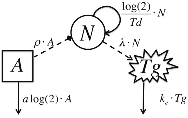 Schematic Model Diagram.