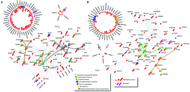 Protein-protein interaction (PPI) network analysis.