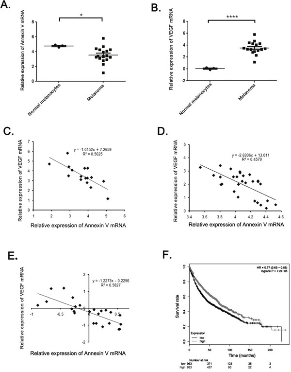 The negative correlation between Annexin V and VEGF expression in melanoma.