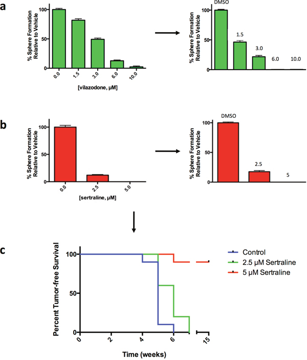 Vilazodone and sertraline target the sphere-forming tumor cell subpopulation and BTIC by an irreversible mechanism.