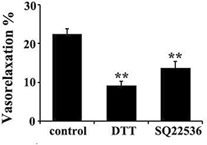 DTT or AC inhibitor SO22536 partly abolished the vasorelaxant effect of H2S in rat thoracic aorta rings.