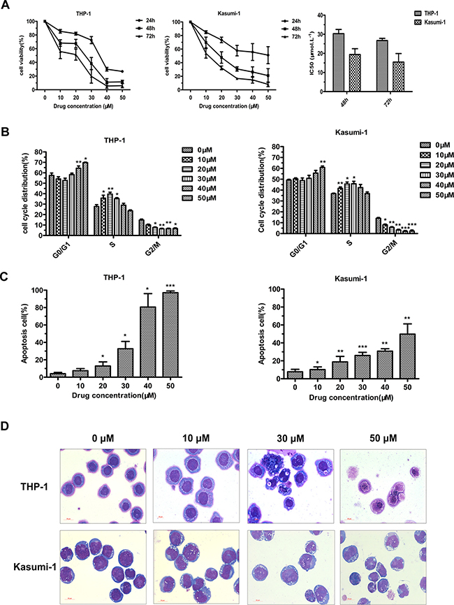 JL1037 inhibits cell proliferation and induces cell cycle arrest and apoptosis in THP-1 and Kasumi-1 cells.